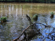 Strakonice Soldiers Trained Hidden Swimming