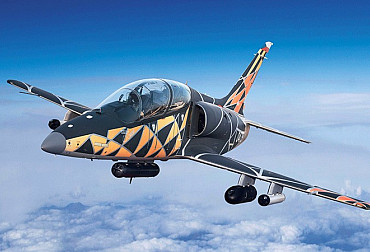 Skyfox as a Drone Hunter