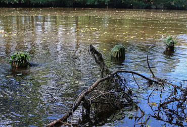Strakonice Soldiers Trained Hidden Swimming